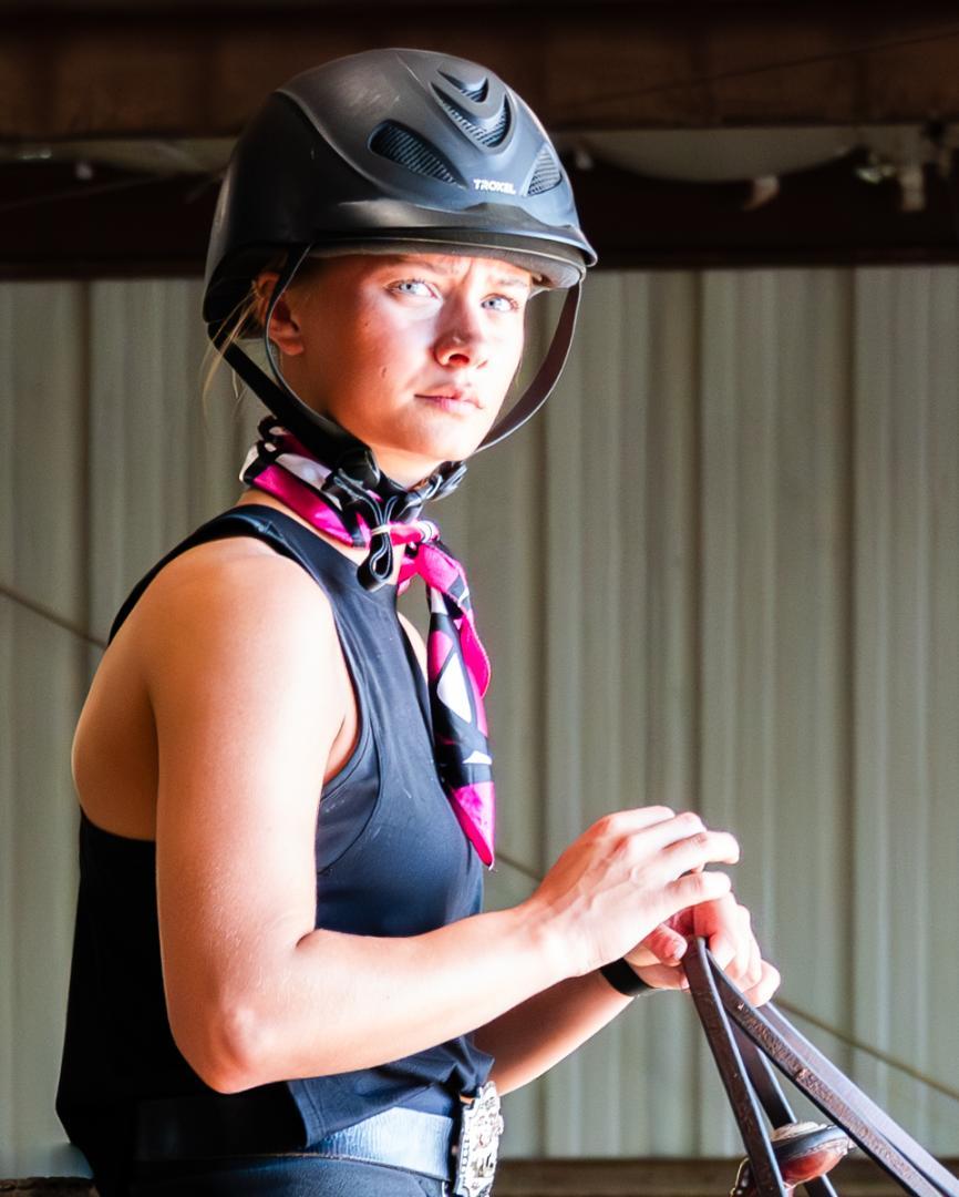 Competition entry: County Fair