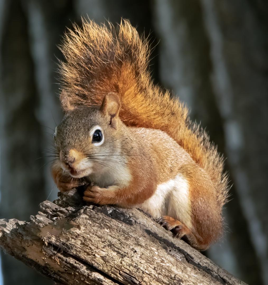 Competition entry: TIME TO REST