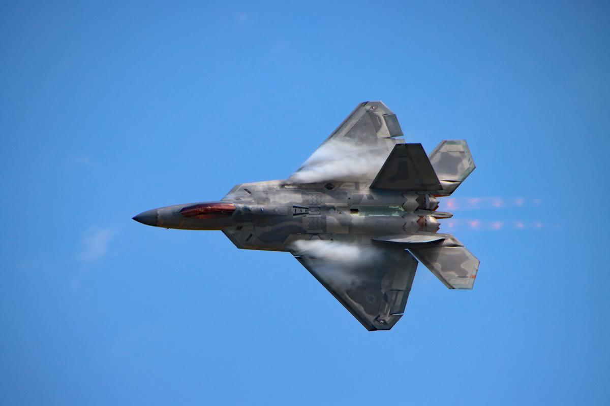 Competition entry: Raptor