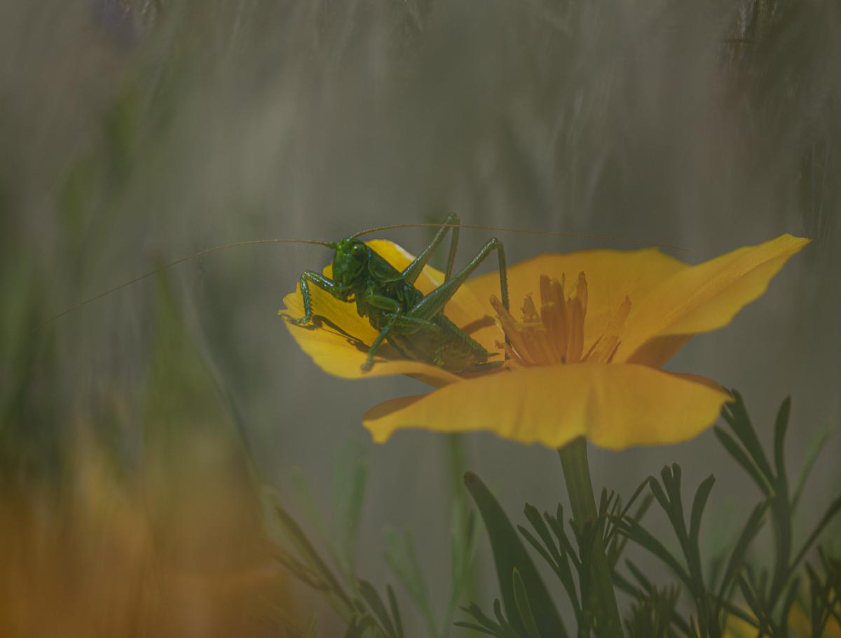 Competition entry: Ready for Take Off