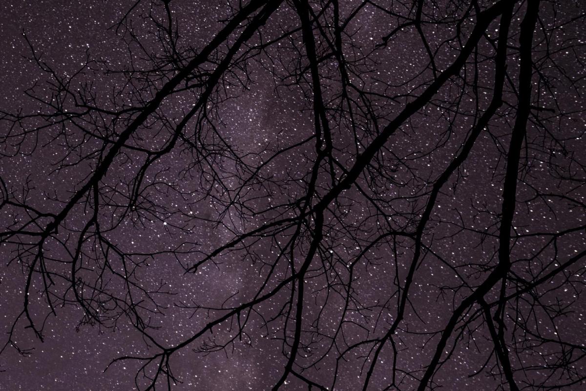 Competition entry: Under the Tree