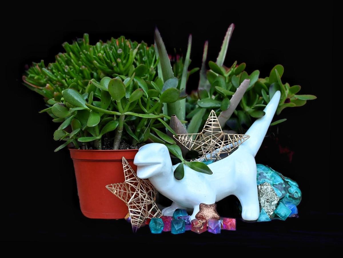 Competition entry: Dinosaurs and Meteorites