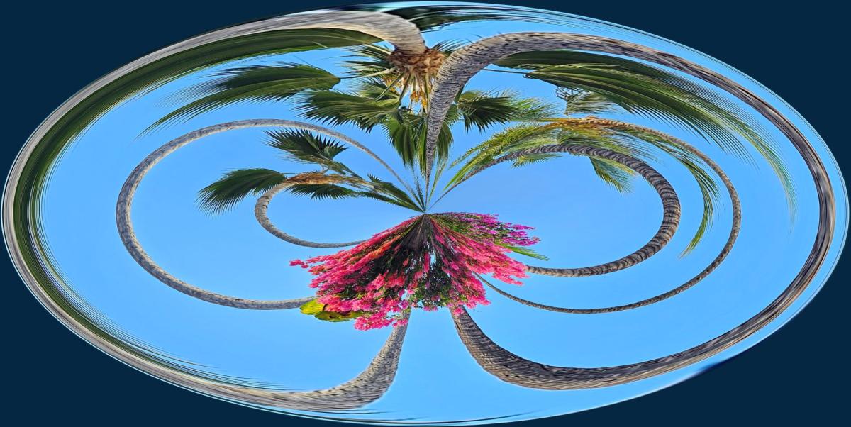 Competition entry: Aloha