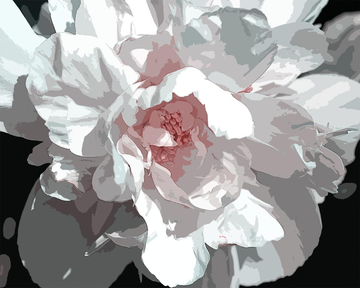 Competition entry: Princess Peony