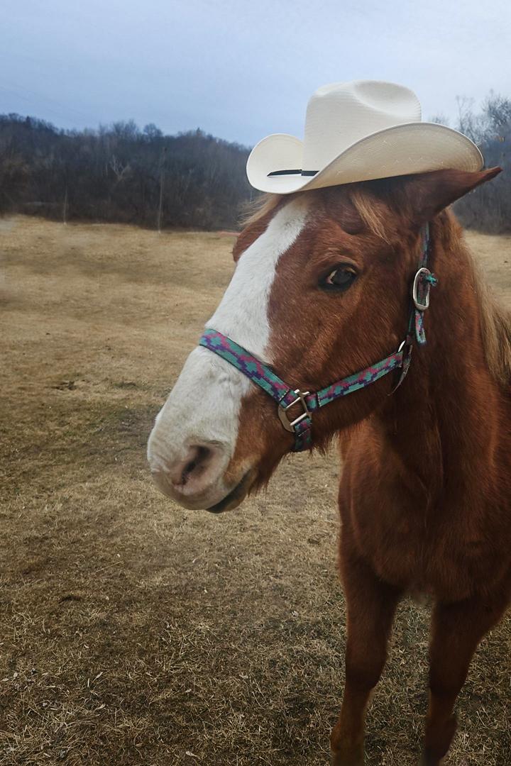 Competition entry: Definitely not for Me