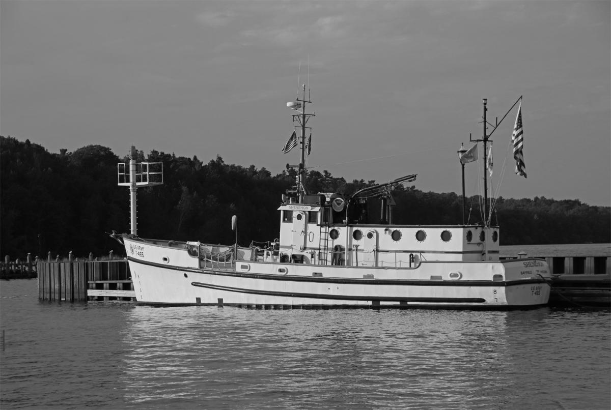 Competition entry: Shenenhon