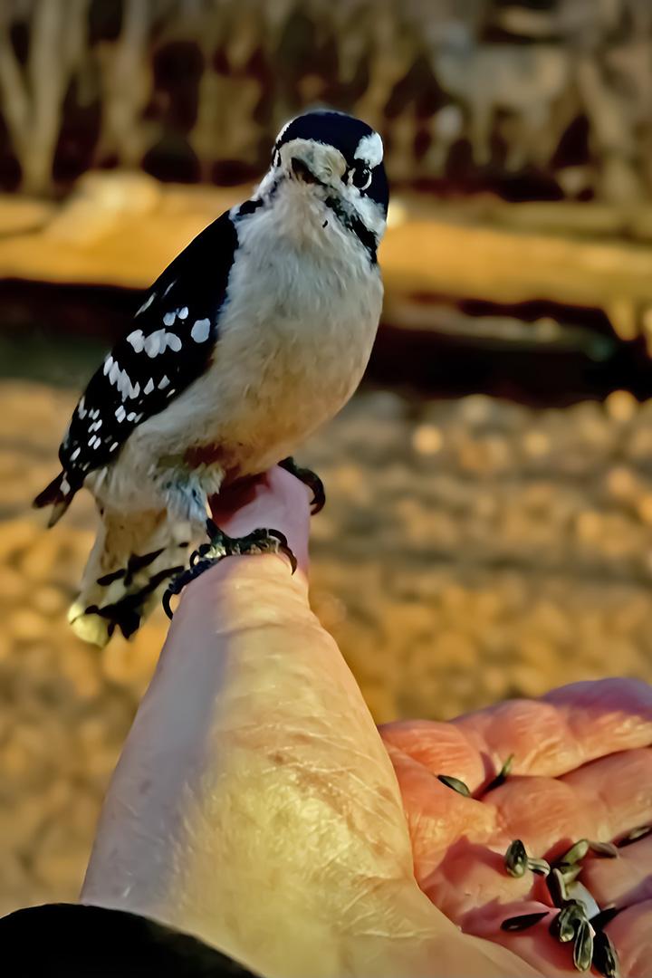 Competition entry: Thumb Drive