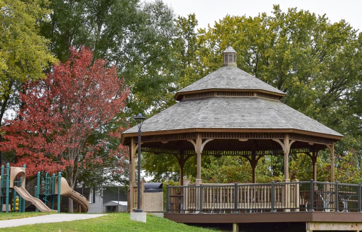 Competition entry: Autumn in the Park