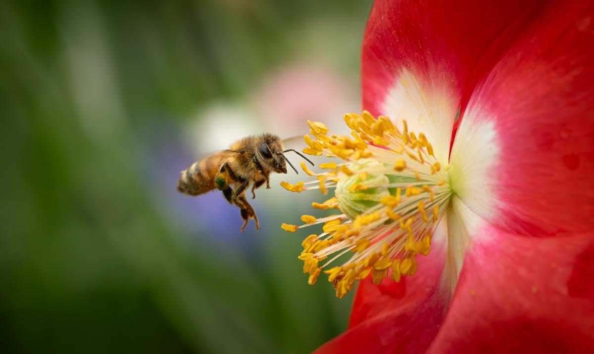 Competition entry: Going Out to Lunch