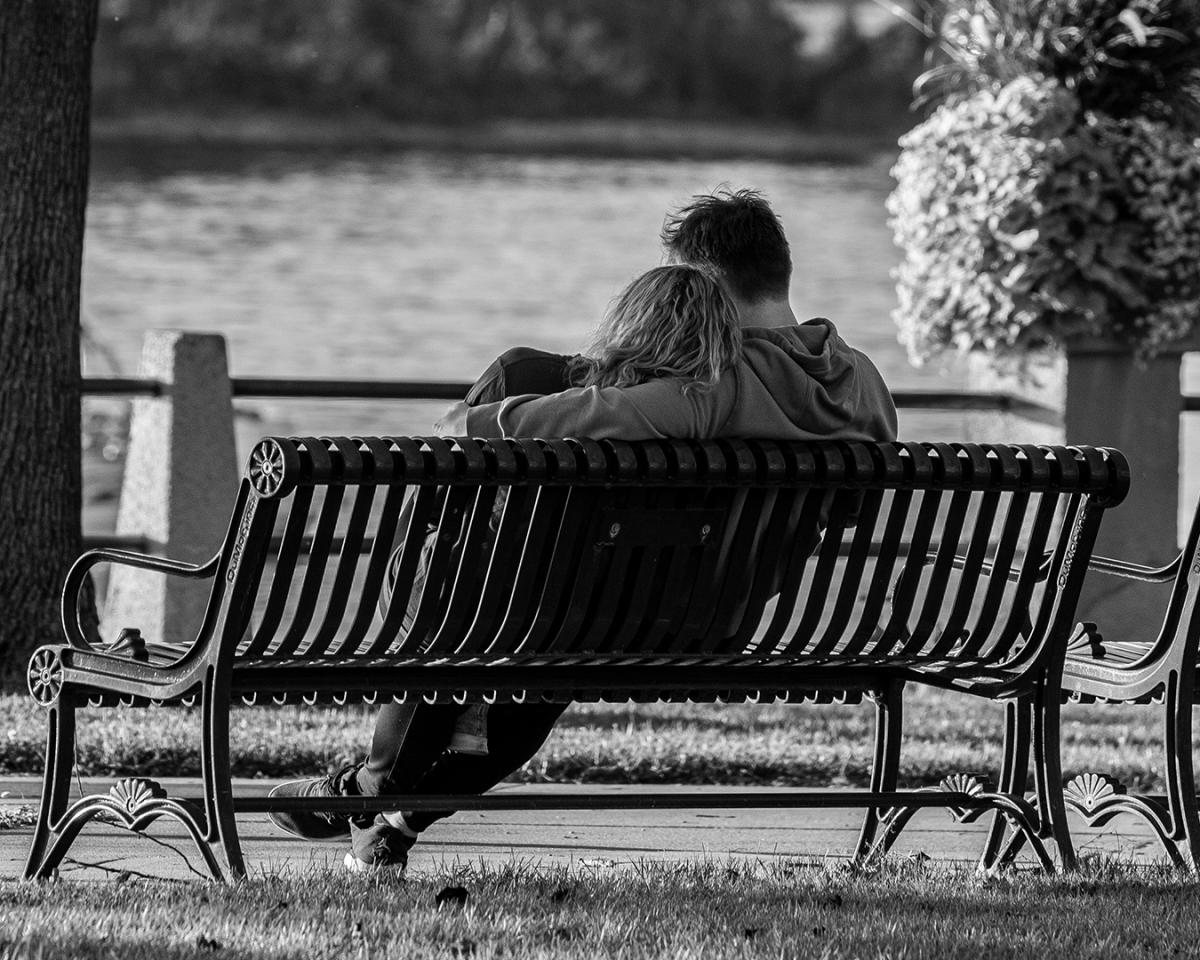 Competition entry: On The Bench