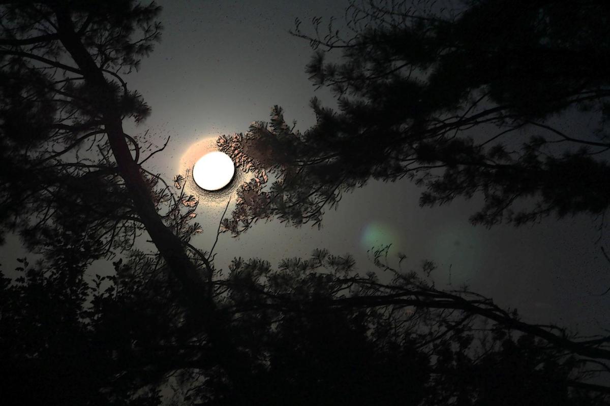 Competition entry: full moon