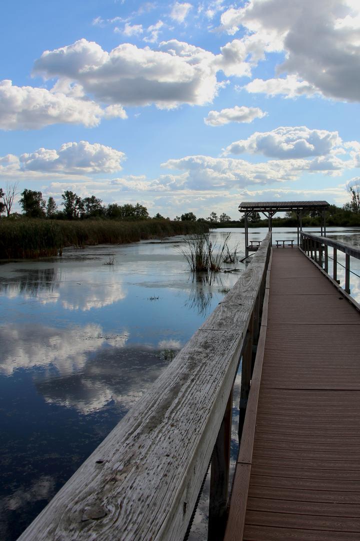 Competition entry: Serenity