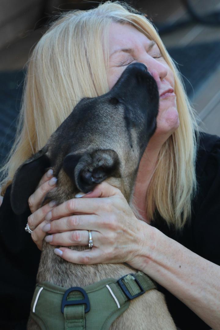 Competition entry: Puppy Love