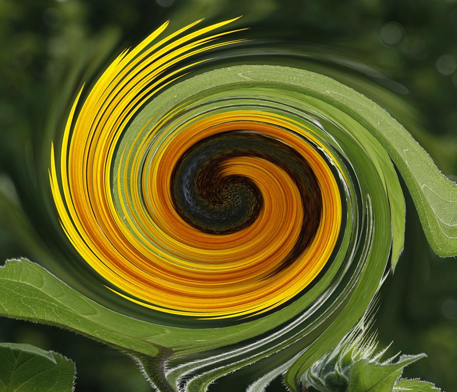 Competition entry: The "Eye" Of The Storm