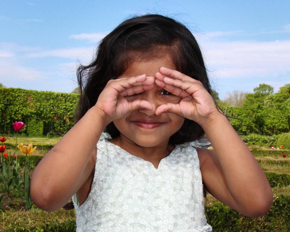 Competition entry: My binoculars