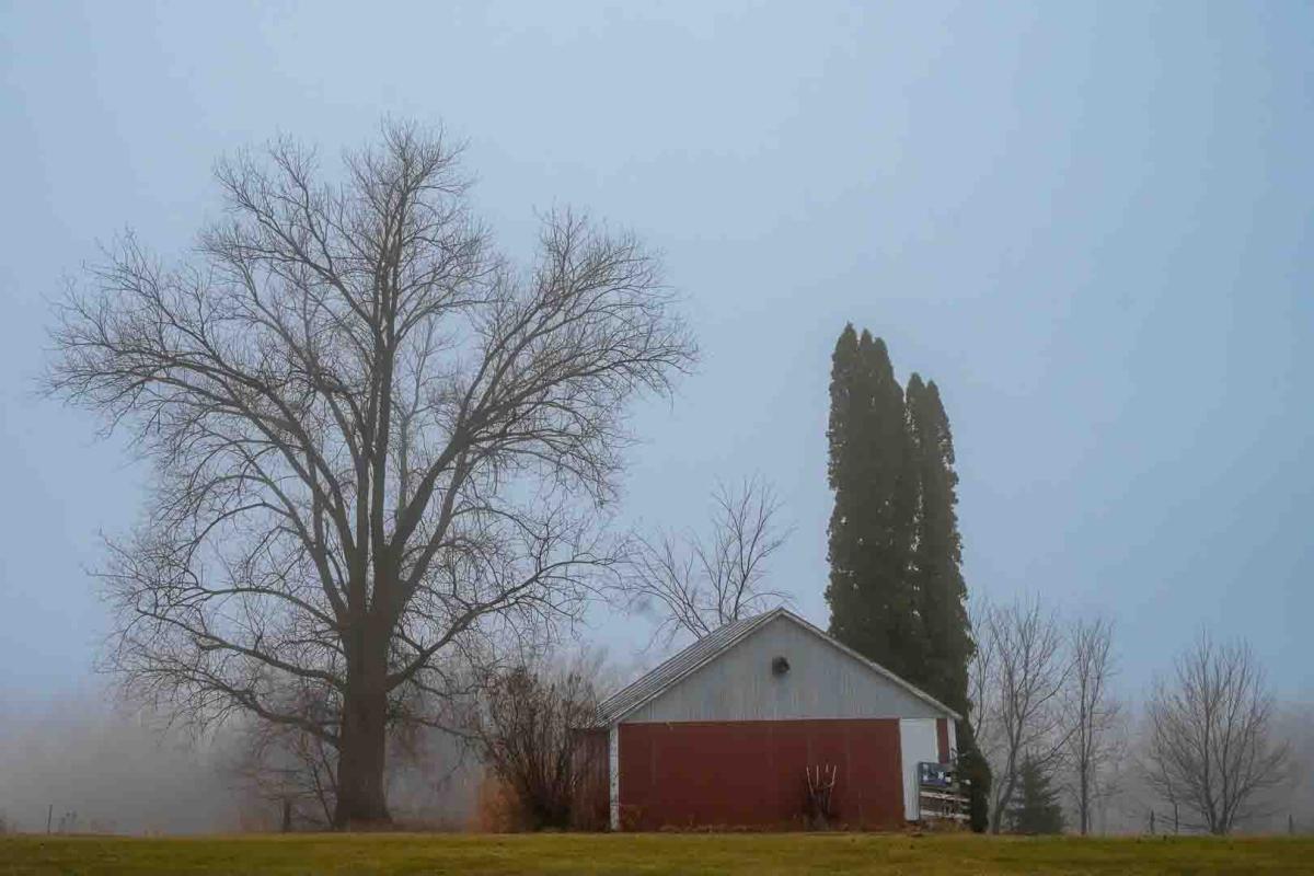Competition entry: Lonely Shed