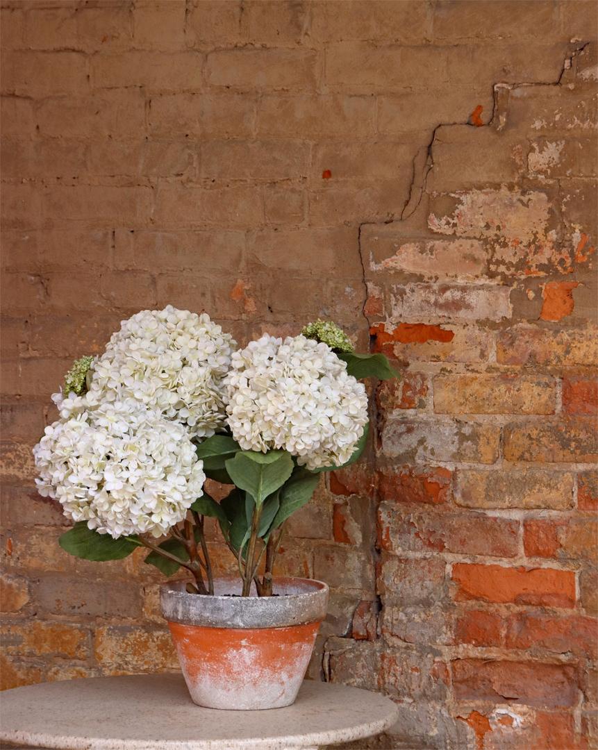 Competition entry: Flower Pot