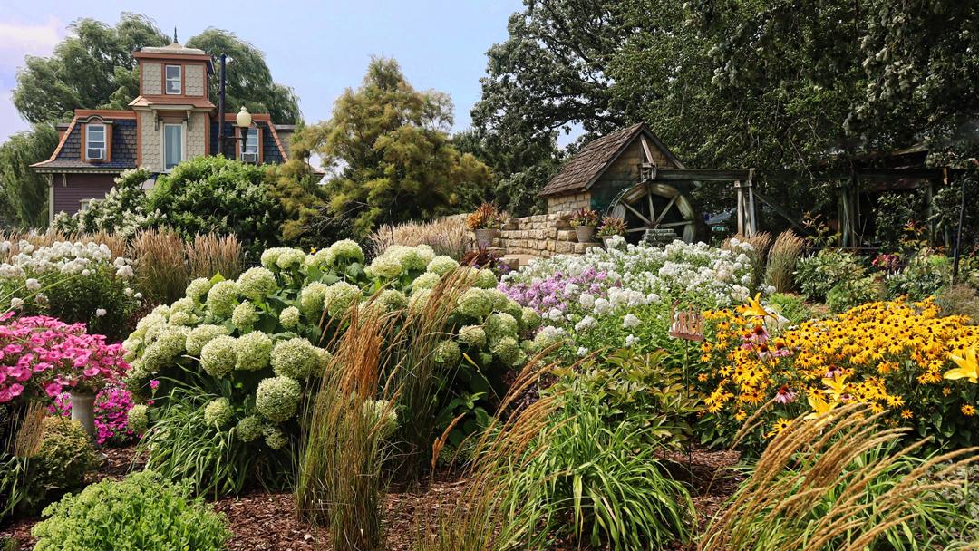 Competition entry: Sylvia's Garden