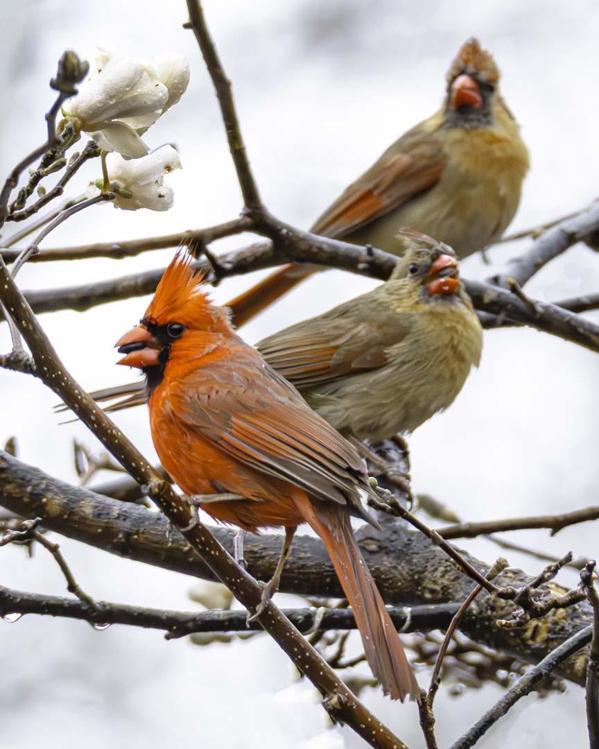 Competition entry: Dinner Time
