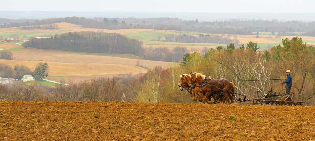 Competition entry: Field Work