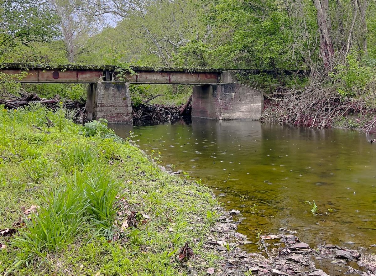 Abandoned railroad bridge in spring time by David Marks with iphone13.