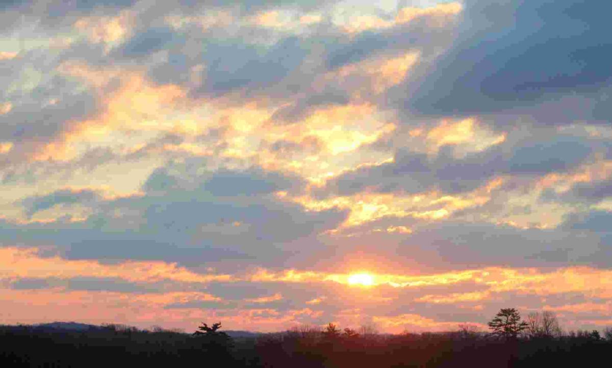 Competition entry: What's Brewing