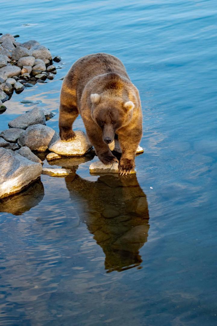 Competition entry: reflection