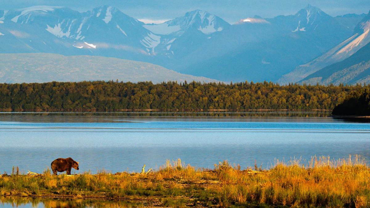 Competition entry: Alaska's Beauty