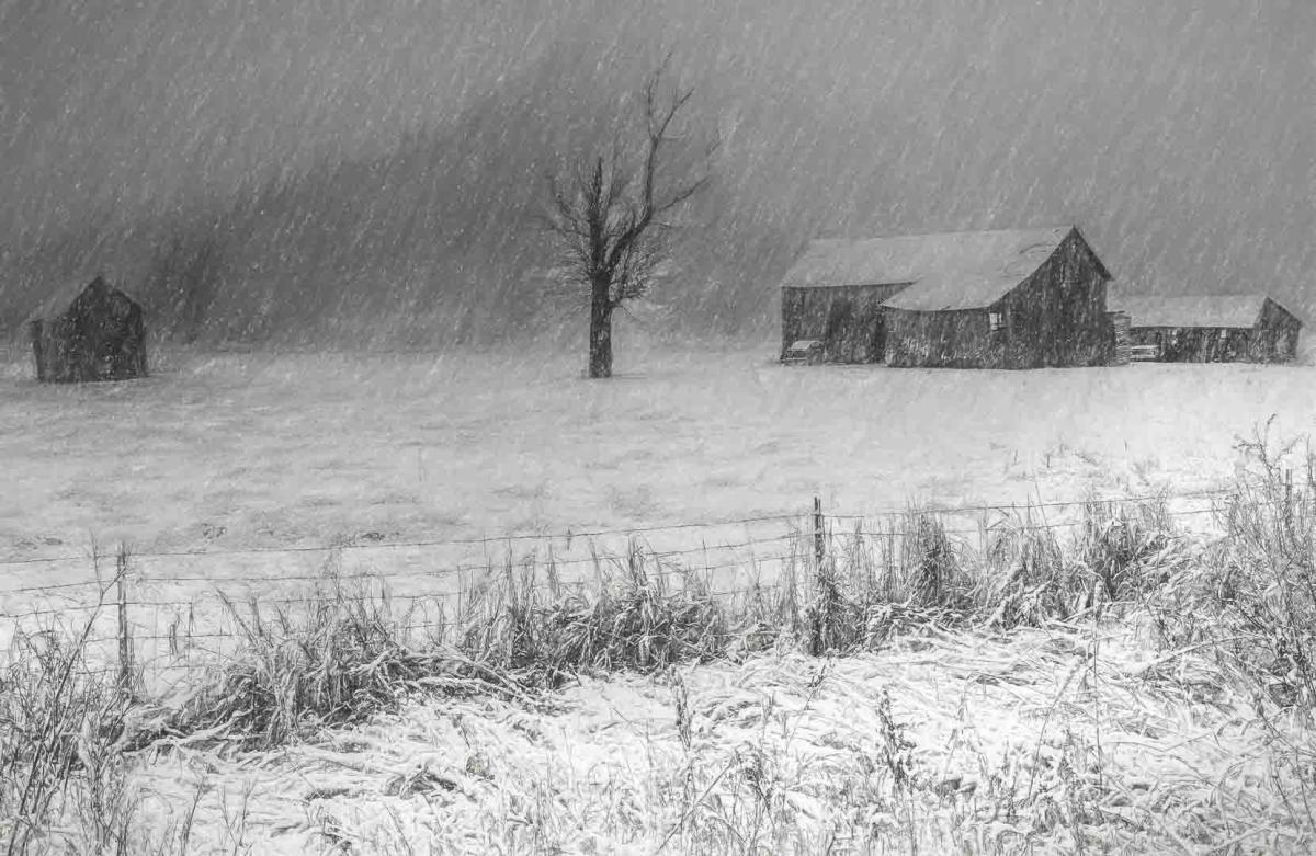 Competition entry: Blizard