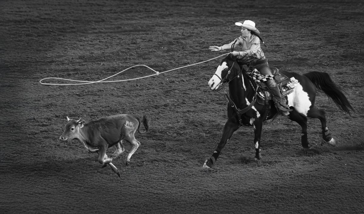 Competition entry: Cowgirl