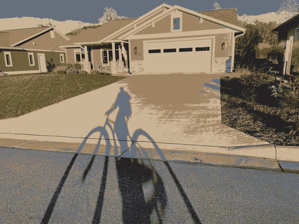 Self portrait during evening bike ride