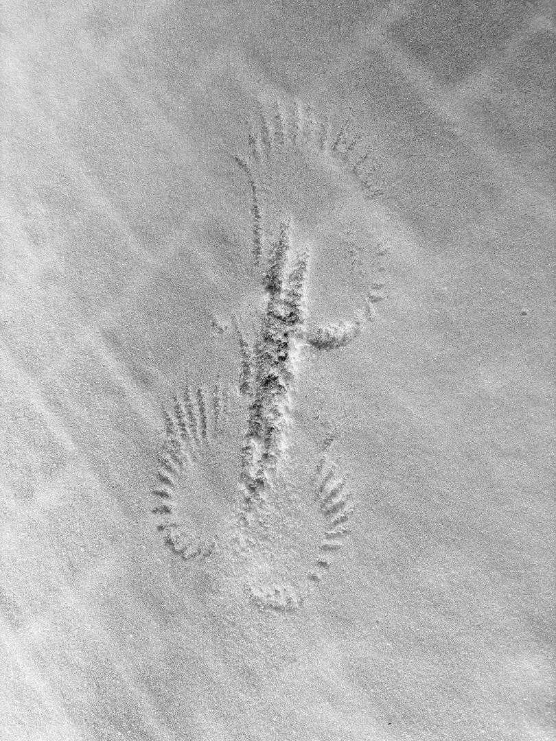 Competition entry: Soft Landing