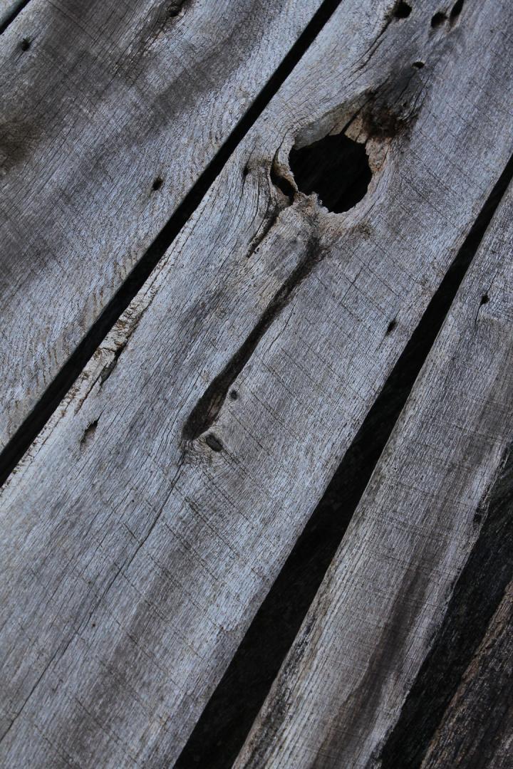 Competition entry: Knot me