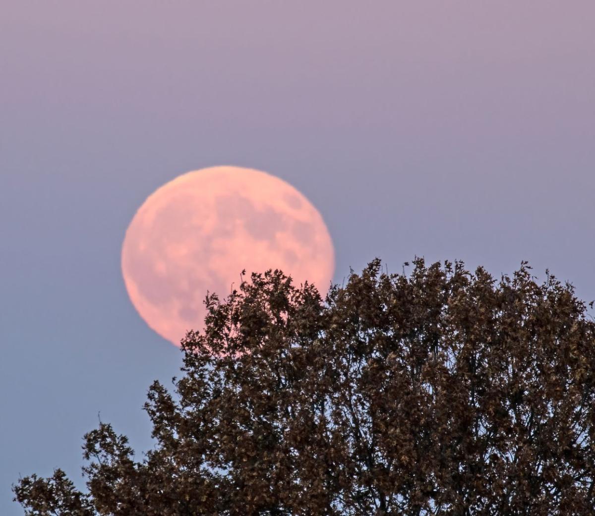 Competition entry: November 25, 2025 Supermoon