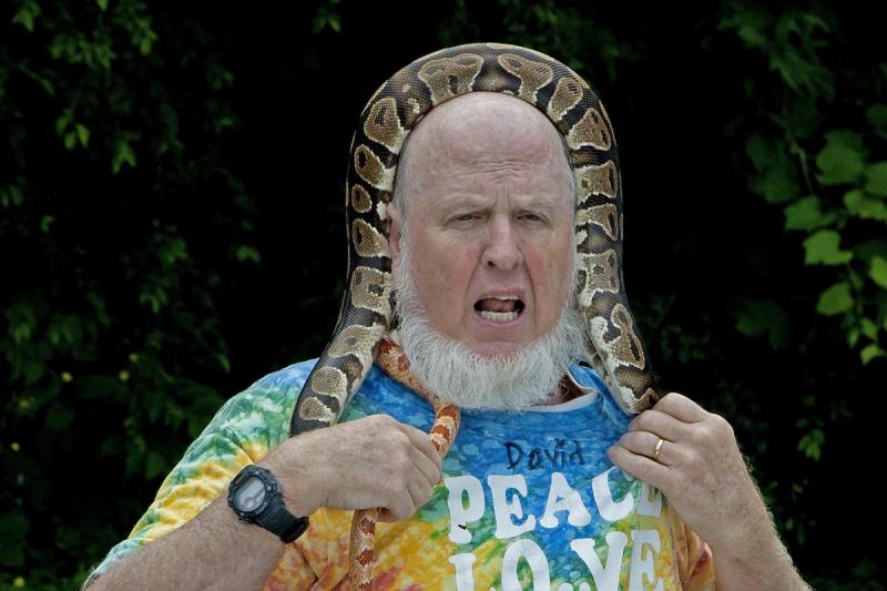 Competition entry: David's Hat