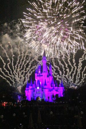 Competition entry: Disney at Night