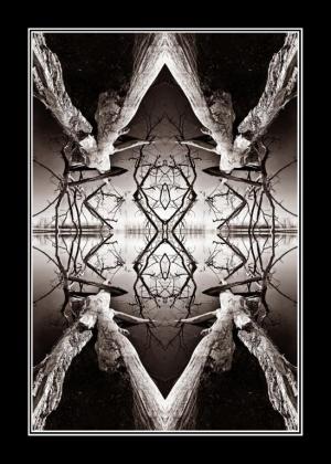 Competition entry: Marsh Abstract