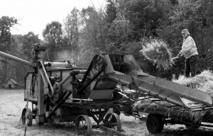 Competition entry: Threshing Oats