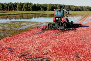 Competition entry: Harrow at work