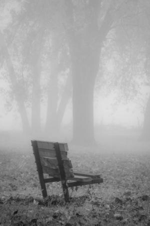 Competition entry: Old Park Bench