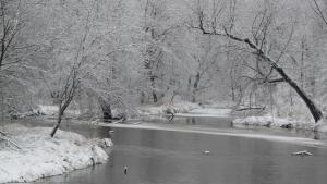 Competition entry: Frosty Morning