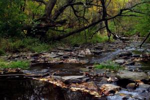 Competition entry: Rocky Stream