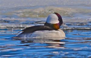 Competition entry: Cold Feet