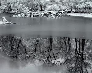 Competition entry: Peaceful Reflections #2