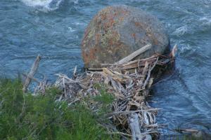 Competition entry: Our Favorite Rock