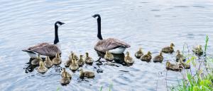 Competition entry: I Count 22