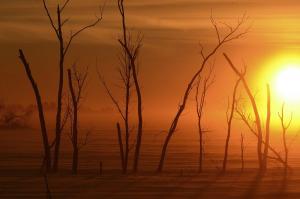 Competition entry: Finn Cold