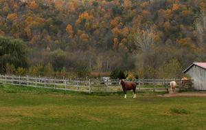 Competition entry: Get Ready to Run