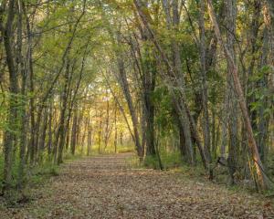 Competition entry: Light at the end of the path