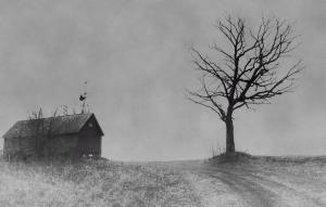 Competition entry: No Trespassing..